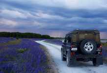 All About the Geoshield Brand of Window Tint Film geoshield window tint brand