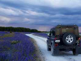 All About the Geoshield Brand of Window Tint Film geoshield window tint brand